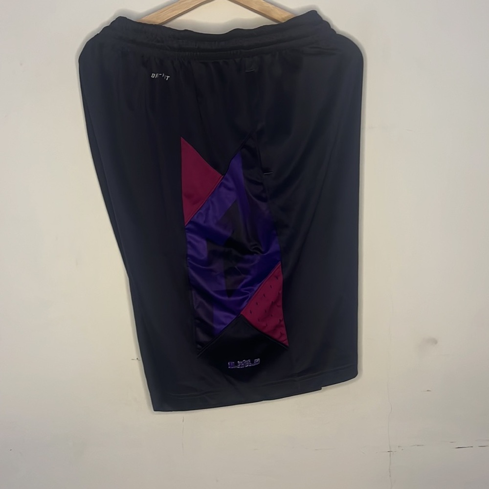Nike Dri Fit Shorts
